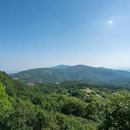 Il Faggio-gemme Del Casentino Castel Focognano