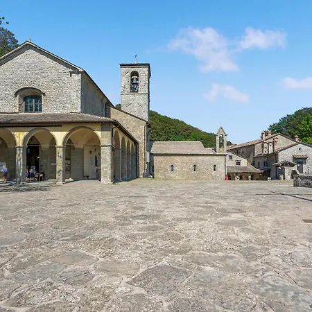 Il Faggio-gemme Del Casentino